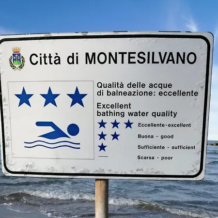 Tra Sogni E Realta A Due Passi Dal Mare *